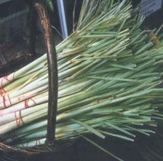 lemongrass.jpg (13435 bytes)