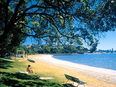 auckland_beach.jpg (36217 bytes)