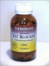 fatblocker_t.jpg (3349 bytes)