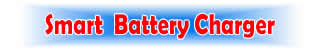 smartbaertcharger