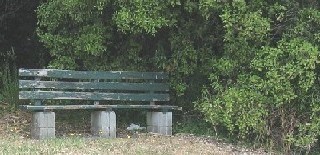 A bench from which to admire the Southern Alps