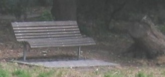 A bench from which to watch the ducklings