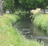 Avon River